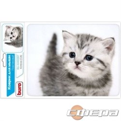 Коврики Коврик для мыши Buro BU-M40087 рисунок/котенок 291848 - фото 2732458